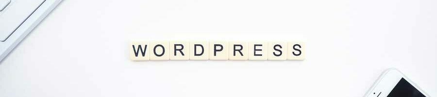 WordPress – Das beste CMS